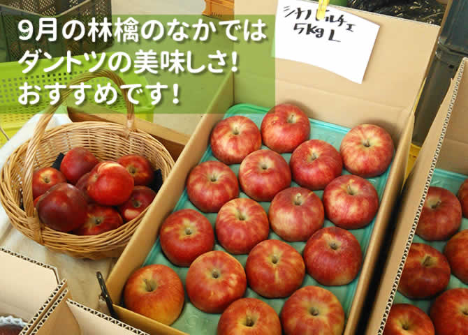 原りんご園のシナノドルチェ