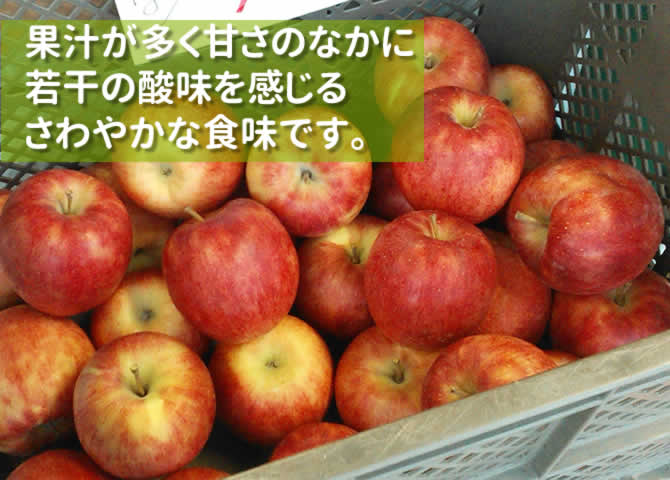 原りんご園のシナノドルチェ