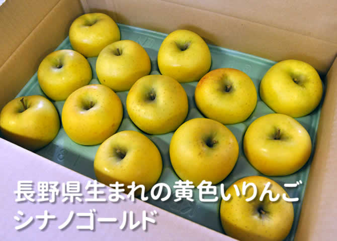原りんご園のシナノゴールド