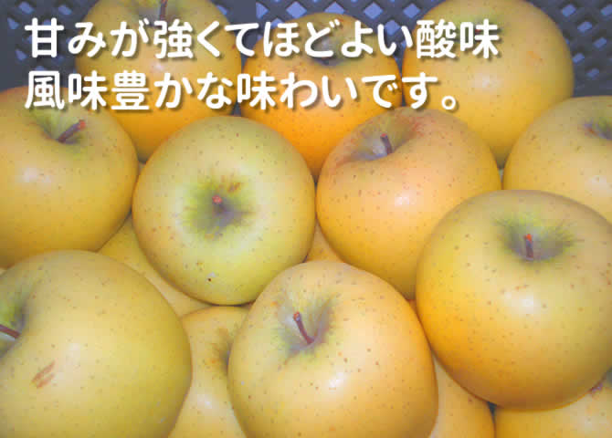 原りんご園のシナノゴールド