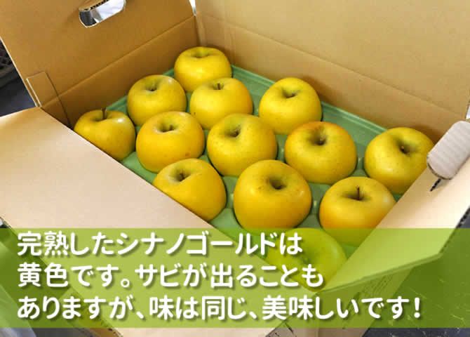 原りんご園のシナノゴールド