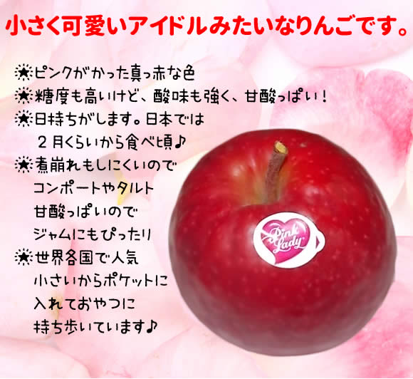 ピンクレディ