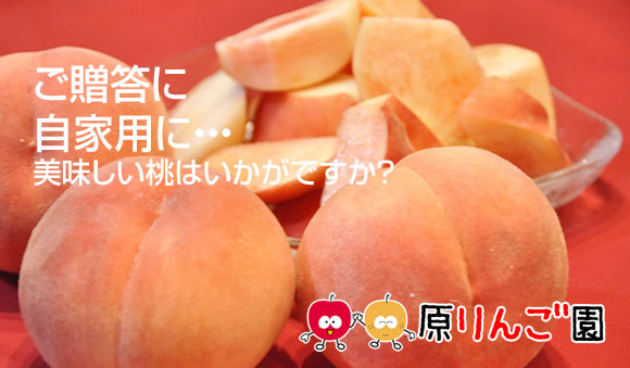 原りんご園の美味しい桃