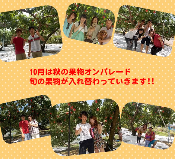 原りんご園旬のフルーツ詰め合わせ