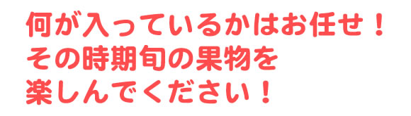 原りんご園旬のフルーツ詰め合わせ