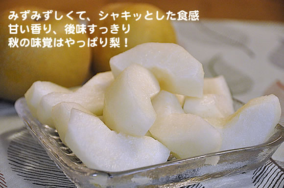 原りんご園旬のフルーツ詰め合わせ