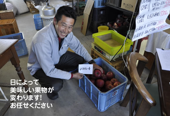 原りんご園旬のフルーツ詰め合わせ
